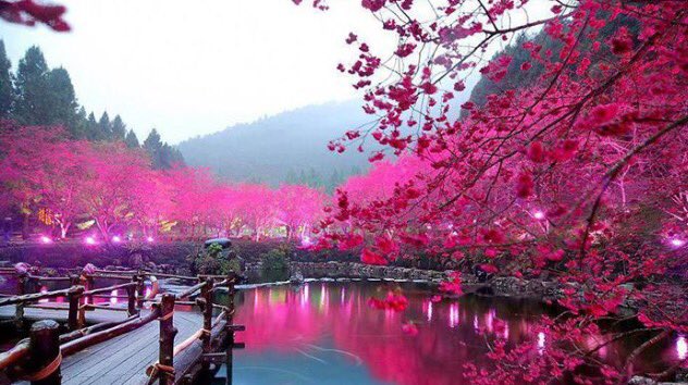 #صباح الخير 

#إمارات