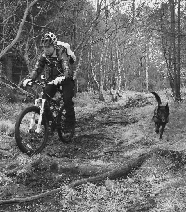 HardieMtb's tweet photo. @HardieMtb with #traildog #jakey funtimes out in the woods #born2explore #4pawsandtwowheels :-) https://t.co/TtwV8mvu6J