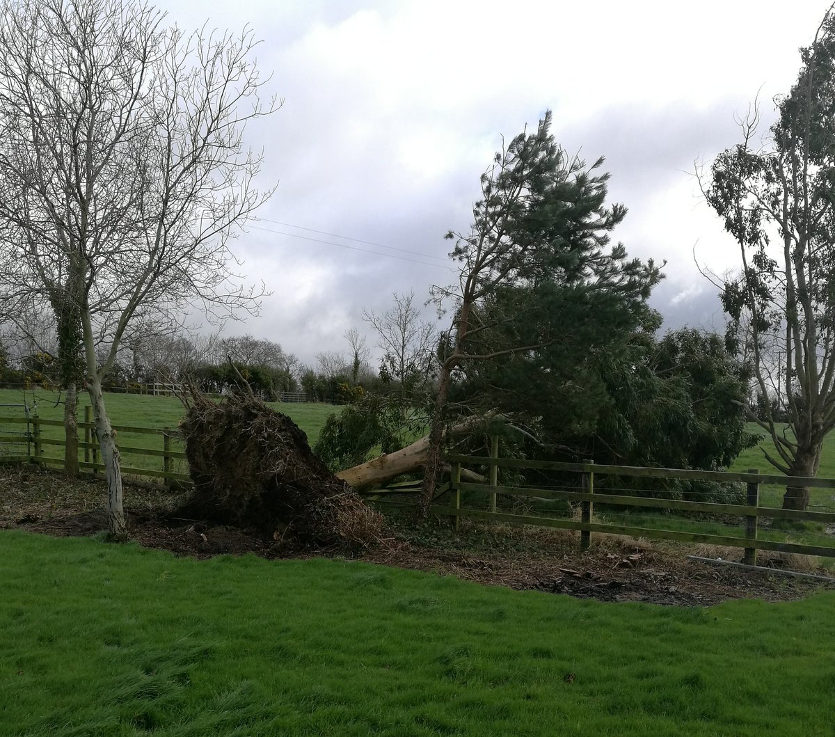 Andy Lee tweet media