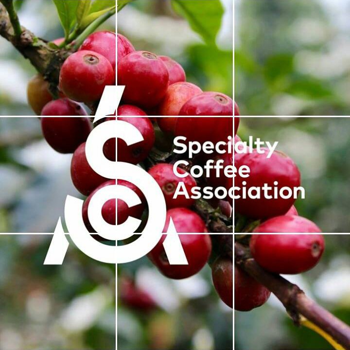 Peeze kiest opnieuw voor hoofdsponsorschap @SCAENederland en biedt binnenkort volledig SCA-gecertificeerd trainingen ow.ly/l34i309hjIA