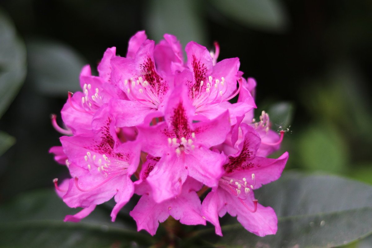 Check this out! What to do when your willpower leaves you. bit.ly/2k6z6bK.