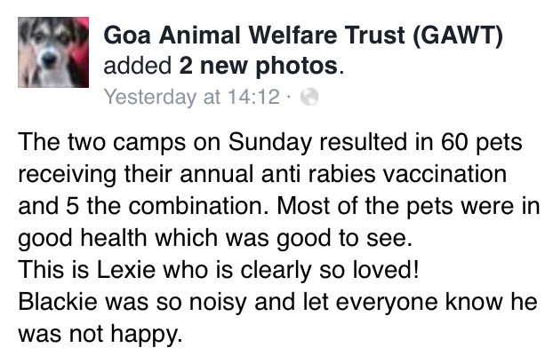 GAWT_Goa's tweet photo. At our last Anti #Rabies Meetings in #SouthGoa 60 #AntiRabies vaccinations were given 2 local pets #OneHealth https://t.co/NaxiLPBYtD