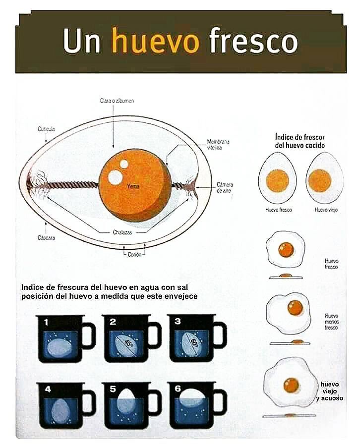 cocinaycorre's tweet photo. ¿Como comprobar la frescura de un huevo? https://t.co/f6ZsBon7Xc