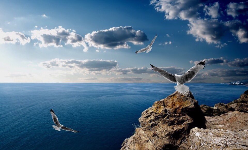 <a href="/MarionSpekker/">Marion Spekker</a> 
🔔 Happy Birthday 🔔 Dear Marion Spekker 🌹🌷🌹
Hope this year brings you lots of happiness and good health 💐🎂🎁🎉🎈😸😉😘