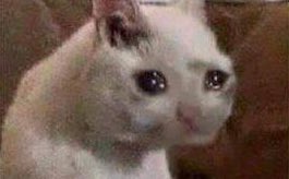 JohanDice's tweet photo. Cuando dices la respuesta correcta en voz baja, alguien te escucha y la dice en voz alta, y lo felicitan a él. https://t.co/jP0Knlmx4u