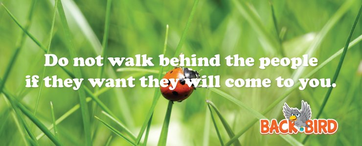 BackBirdGame's tweet image. Don't walk behind
backbirdgame.com/wisdom-of-back…
#bb #backbird #backbirdgame #game #mobilegame #dialog #wisdom #development #ios #android #people