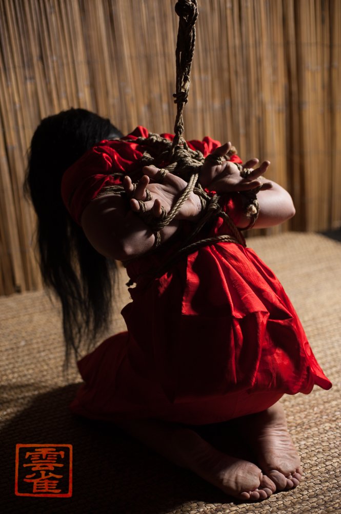 djeighttrak's tweet photo. In between floor work and full suspension, partial suspension can be great for play #hebari #shibari #shibaritutorials https://t.co/rmuR87KwrU