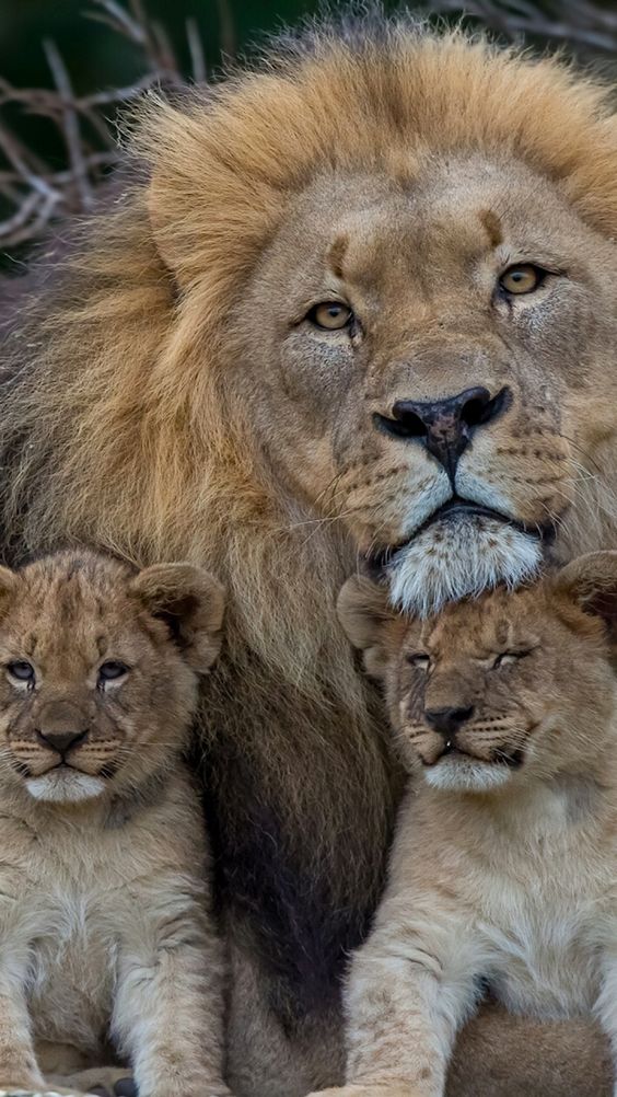 KiberSitherc's tweet photo. Sigo todos de volta!
#QuintaDetremuraSdv
#SeguimeYTeSigo
#QuintaClubeSdv
#MafiaSDVoMelhorDaVidaÉ
#JuevesDeGanarSeguidores
#followback https://t.co/3Mglo8g1Ma