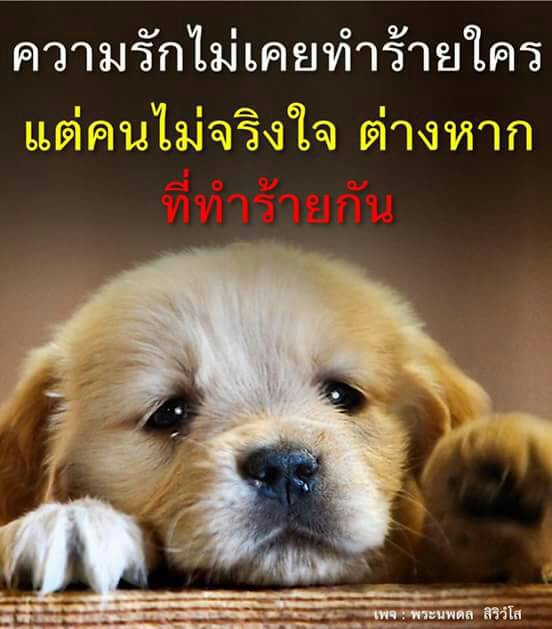 Sureera2560's tweet photo. https://t.co/SuymS9Wxnu