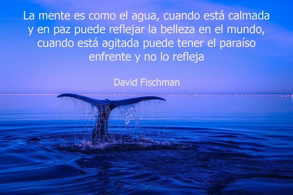 iiama_upv's tweet photo. Comenzamos el día con una reflexión del escritor e investigador David Fischman. #FelizJueves https://t.co/UMFztiXIcQ