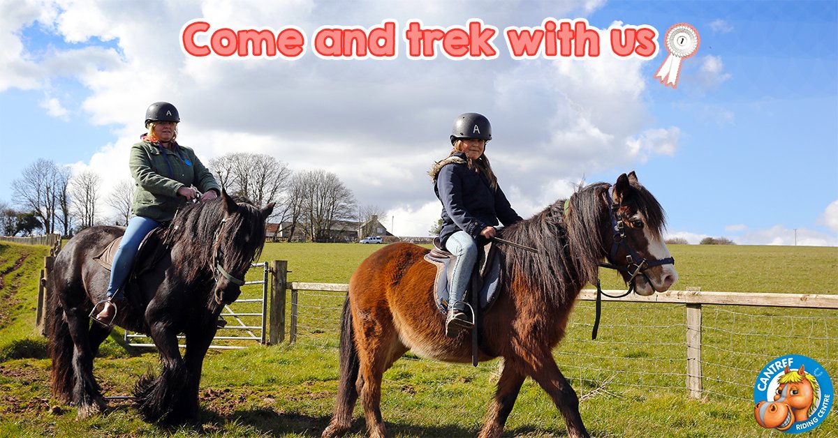 Cantref's tweet photo. Come and trek with us @Cantref! Ride your first horse this #halfterm for just £2, we have something for everyone! https://t.co/fNiqTNmpVt https://t.co/agbS03vt1o