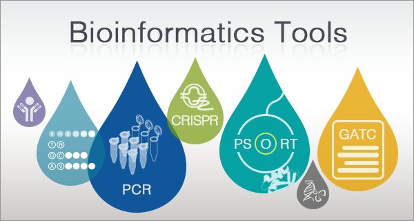 GenScript's tweet photo. New researcher? Try free bioinformatics tools from GenScript to #MakeResearchEasy: https://t.co/88ruJbpMZk https://t.co/yMIVPDpVhV