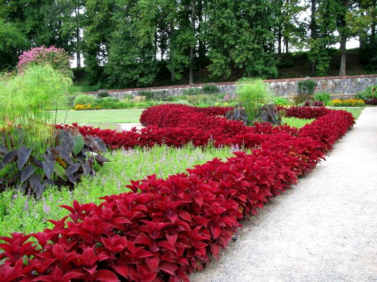 DreamYardTeam's tweet photo. Stunning Red Garden Border, you can always have in your yard. #gardenborder #landscaping #Garden. Check more ideas!. https://t.co/aLhTi2FmVR https://t.co/Bpf40zXjGw