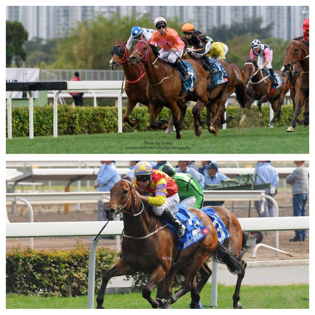 karolinexnewss's tweet photo. Looking forward to riding these 2 champions this coming Sunday in @HKJC_Racing #G1's #Designsonrome #Heleneparagon #cantwait https://t.co/j4cjfF4FRM