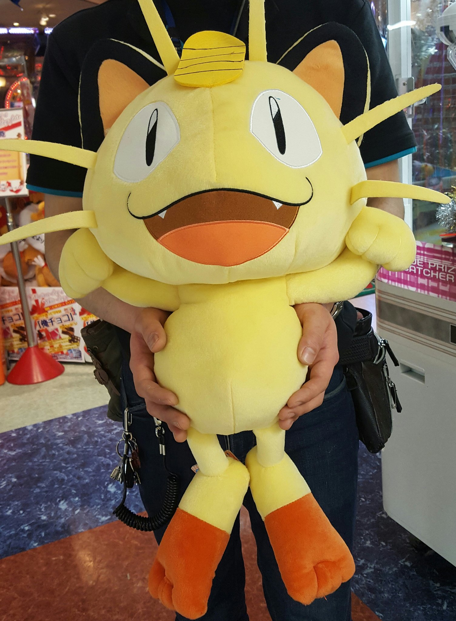 当店の記念日 ポケットモンスター ニャース ぬいぐるみ サンムーン Lacistitis Es