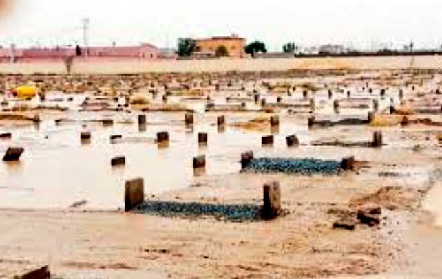 sooz____22's tweet photo. #اللهم كما أمطرت علينا من خيرك ،
أمطر على قبور من رحلوا سحائب رحمتك ،
واجعل لهم في كل قطرة مطر راحه ومغفره .. https://t.co/YaDDAmc6BW