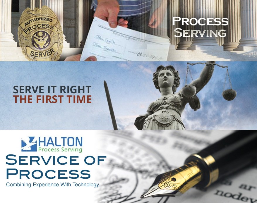 HaltonProcess tweet picture