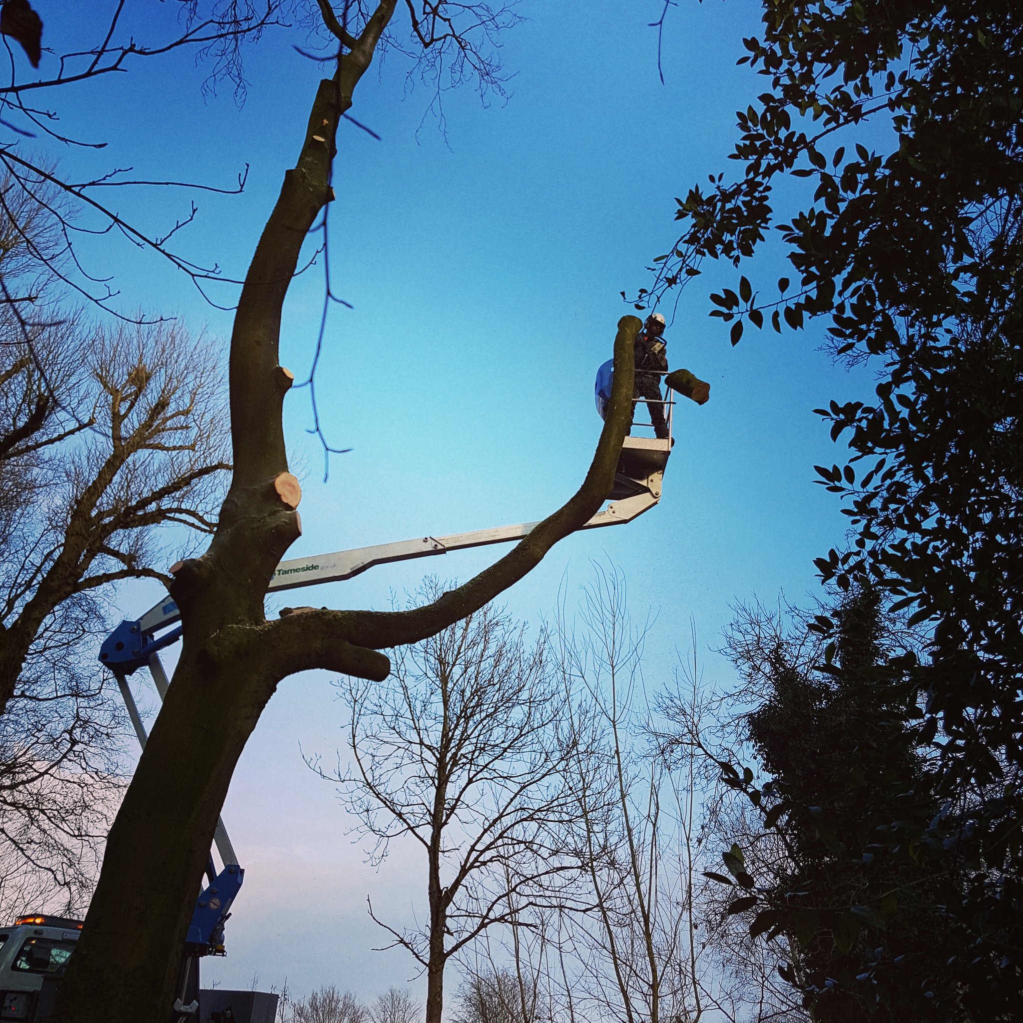 Russell Ambrose (ambrose_ra) / Twitter