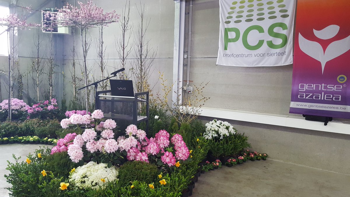 BrunoGobin's tweet image. studiedag azalea #pcsierteelt met thema's Water Gewasbescherming Groeiremming volledig volzet. De mooie plantjes verdwijnen tussen het volk