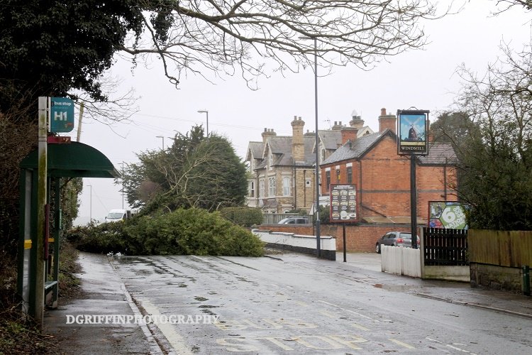 dgriffinpix's tweet photo. "Thanks Doris" Mansfield Road, Derby, this morning...#doris @walkderbyshire @BBCDerby https://t.co/hg9AW2Tk7v