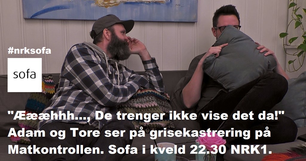 nrksofa's tweet photo. @adamwickedhus og @TorePetterson sliter når @SolveigBarstad viser kastrering på #Matkontrollen. @nrksofa kl 22.30 på NRK1 i kveld. https://t.co/pbGvfGawAw