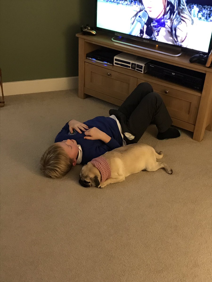 AlidrakePug's tweet photo. Keeping my bro company 😃 https://t.co/F3x20O7Bvw