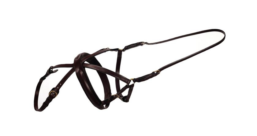 Ideas4PetRetail's tweet image. New Beetle Grackle from @KateNegus Saddlery – buff.ly/2lO2J2C