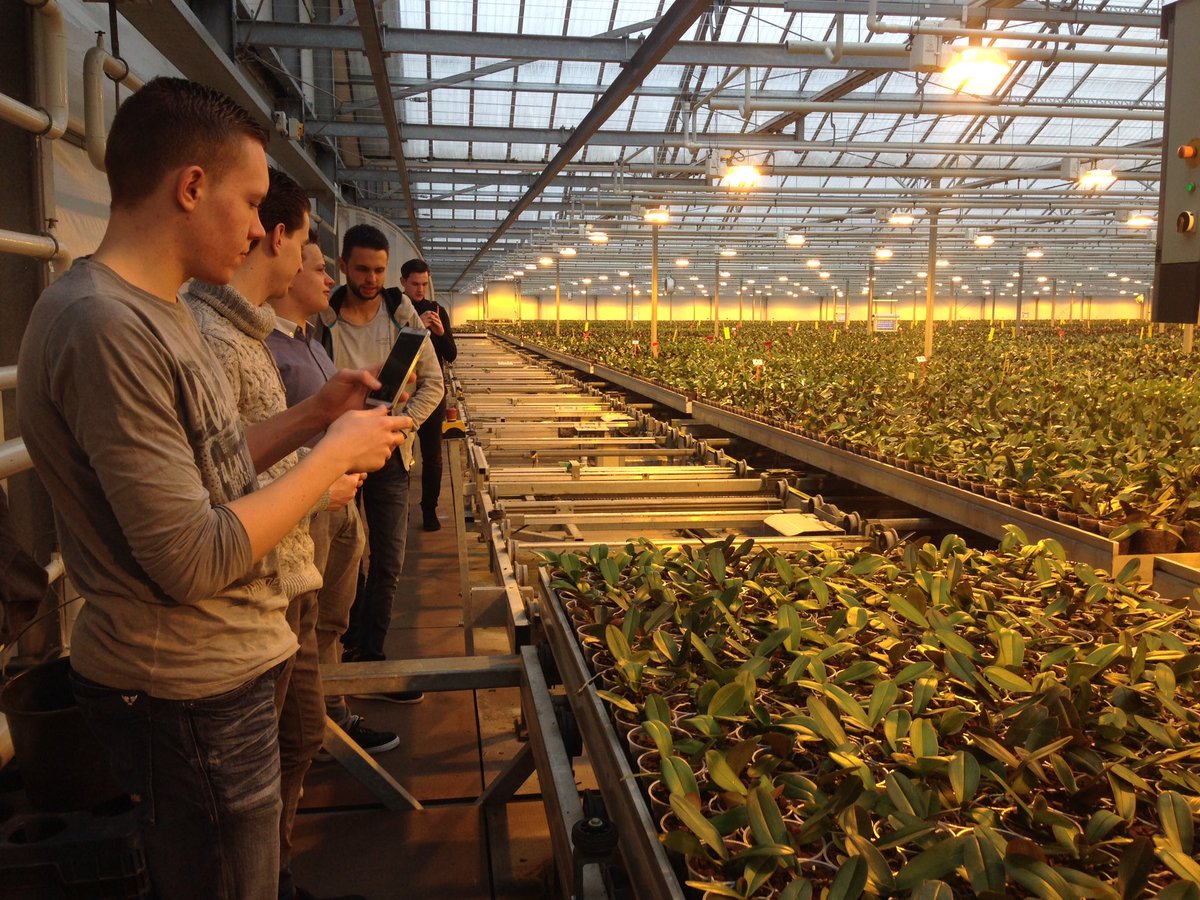 paulaschot's tweet photo. Vandaag op bedrijfsbezoek bij de grootste orchideeënkwekerij ter wereld #SoNatural met studenten van @Essenzo_ https://t.co/XHEnoUsImU