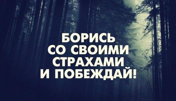 за свое счастье надо бороться. мотивационные фразы. нужно бороться за свою любовь. надо справиться. за жизнь надо бороться.
