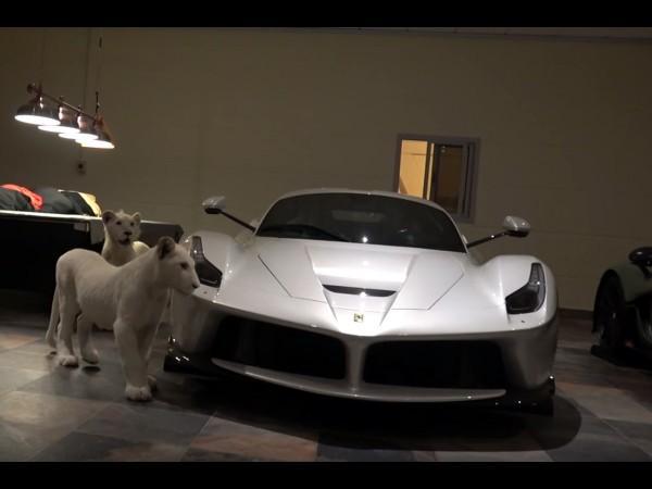 AutoPlusMag's tweet image. Une LaFerrari, une P1, des lions blancs... [vidéo] bit.ly/2l2KGRz