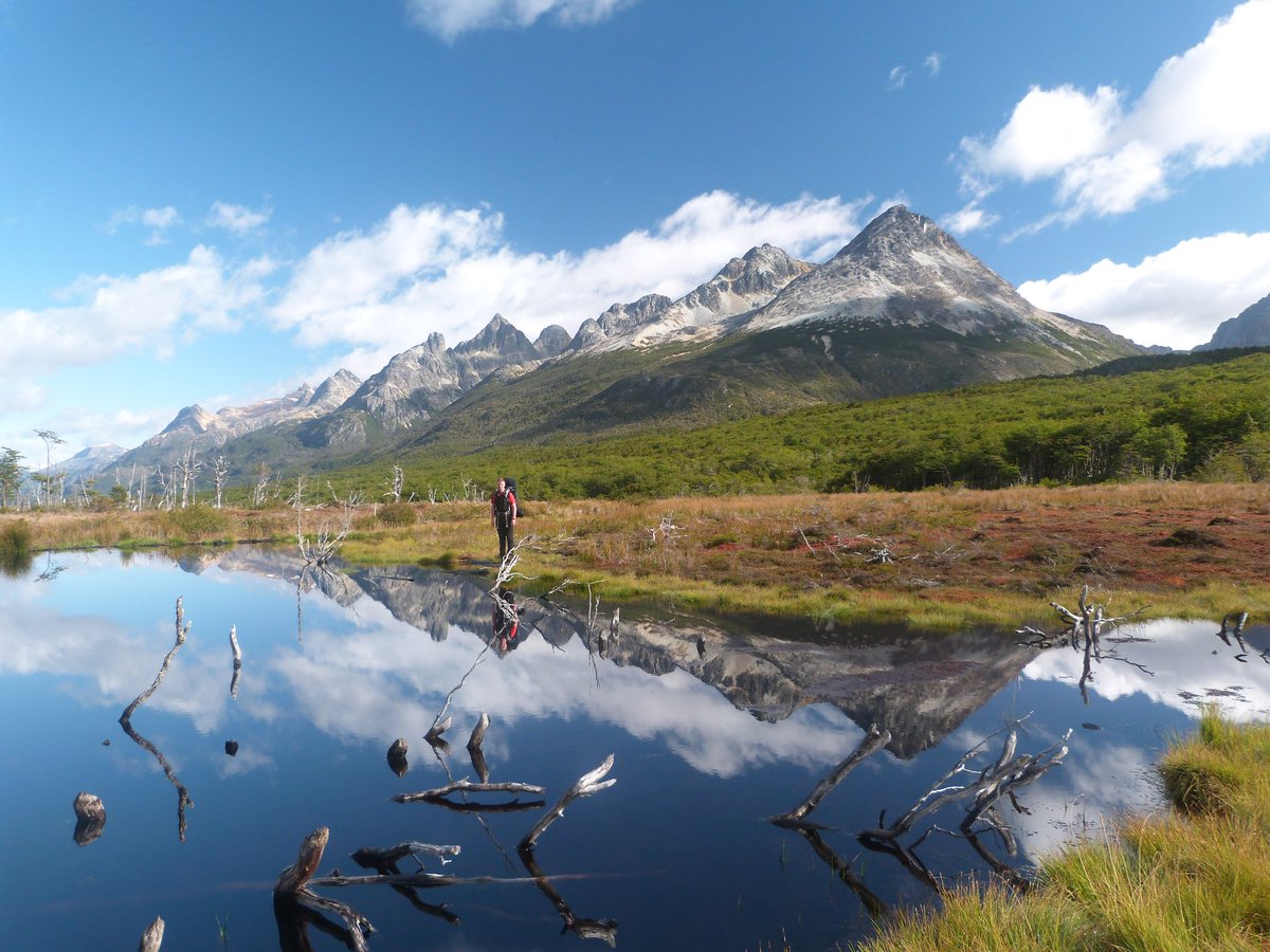 Kev Oliver tweet media