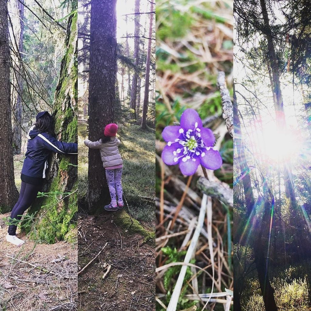 PinetaHotels's tweet photo. Anche oggi # albero da Abbracciare ne abbiamo..,! #freehugsday #threehugs #barefoot #settimanadelbenessere #dafarea… https://t.co/3C2ehJfJq0