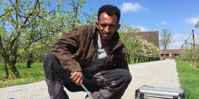 @tagi: "Zürcher Bauern wollen keine Flüchtlinge anstellen" - Stimmt nicht! Gegenbeispiel: juckerfarm.ch/farmticker/det… #farmticker #Fluechtlinge