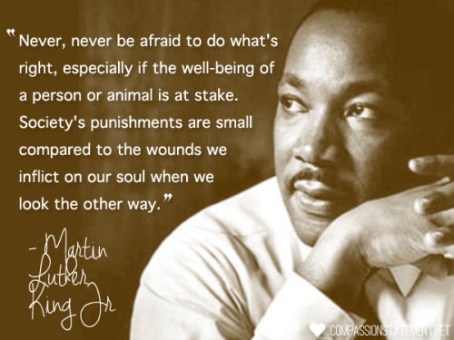 SoulTenderCBD's tweet photo. Always take the higher road no matter who is or isn't watching. #soultender #bethatone #standfortruth https://t.co/FJvHhcHDZ9