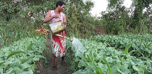 IDS_UK's tweet image. FREE Webinar: Can #MarketBased Approaches Include the Most Marginalised? on 1 March 13:00-14:30 (GMT) - Sign up at buff.ly/2lOaAxc