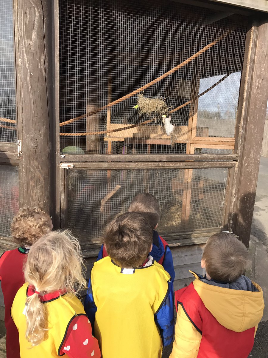 webandmorph's tweet image. Yesterday we helped feed the animals. We took some apple for the chipmunks. We were very excited when they climbed up to eat the apple!