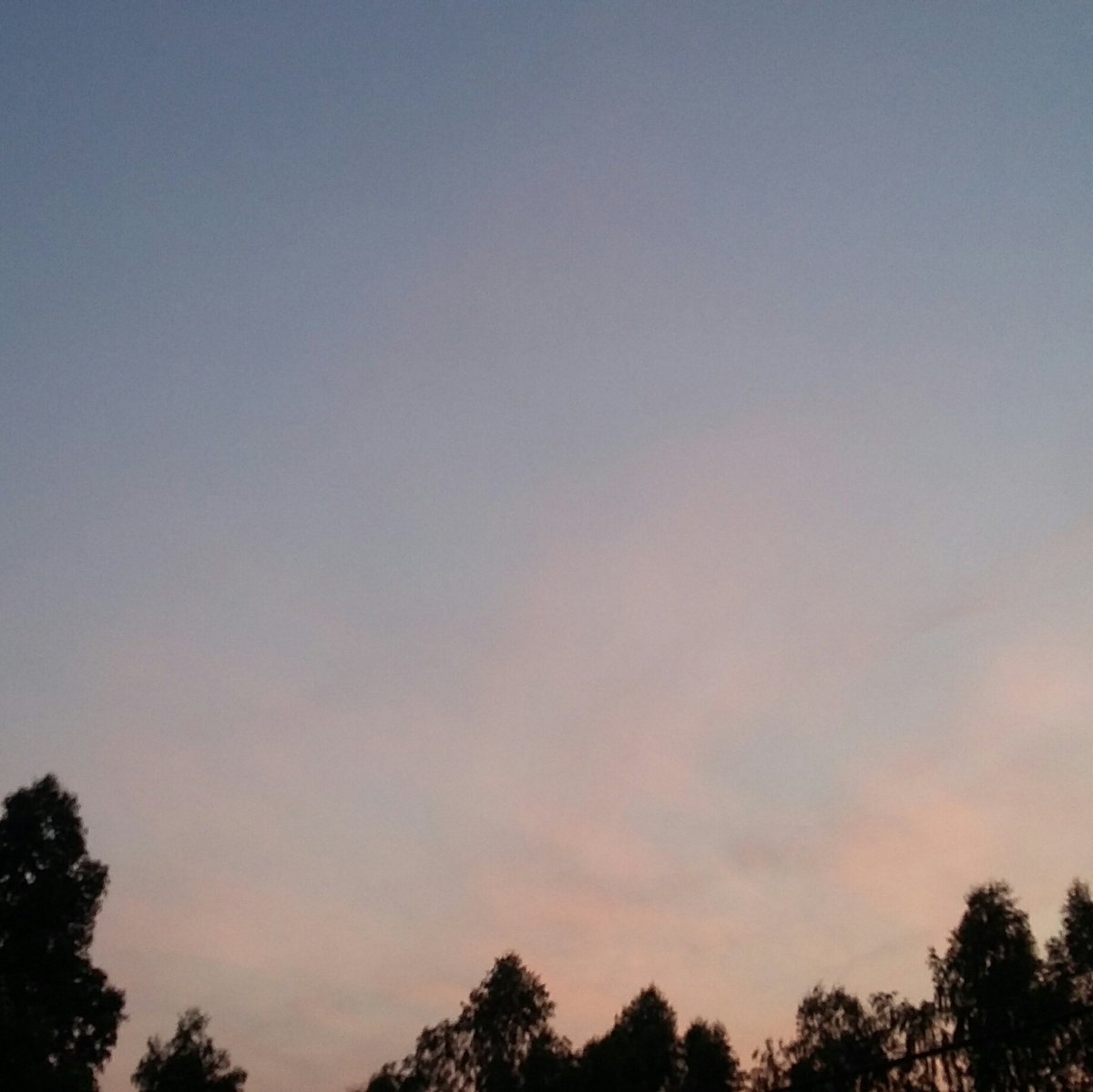 tayabxby's tweet photo. เวลาเปลี่ยน ฟ้ายังเปลี่ยนเลย https://t.co/VFJ6rZ8lz5