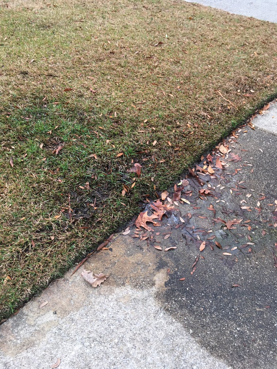 seekatewrite_'s tweet photo. Hey @BerkeleySCGov I've called, filled out a form and still no response to my water leak. Help? @ABCNews4 @lukereasoner https://t.co/FSmwvRczGD