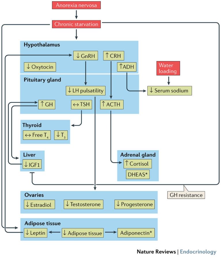 download clinical reasoning for