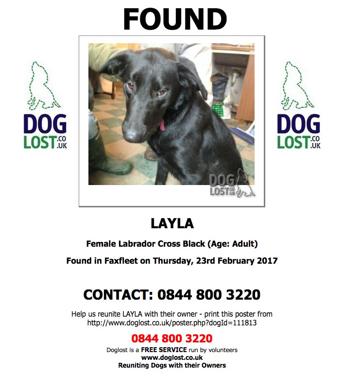 DogLostUK's tweet photo. #FOUND LAYLA Female #Labrador cross #Faxfleet #DN14 #founddog   https://t.co/muEQbmmTb3 https://t.co/35GbOTK0lV