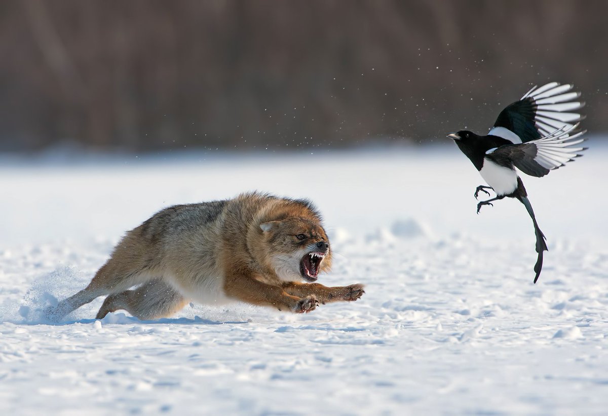 <a href="/patersonderek18/">Derek Paterson</a> <a href="/TaxiToujours/">VIEdeTAXI</a> <a href="/FiaFiadiach/">hadia kamel 🙏FADIA🙏</a> <a href="/RannveigInga/">🐬🌴🌊 🌸Inga🌸 🌊🌴🐬</a> @geeanem @PaulDav52131562 <a href="/soniacolpo/">Sonia Colpo Scherer</a> @BrendaFlournoy1 God day Derek &amp; all