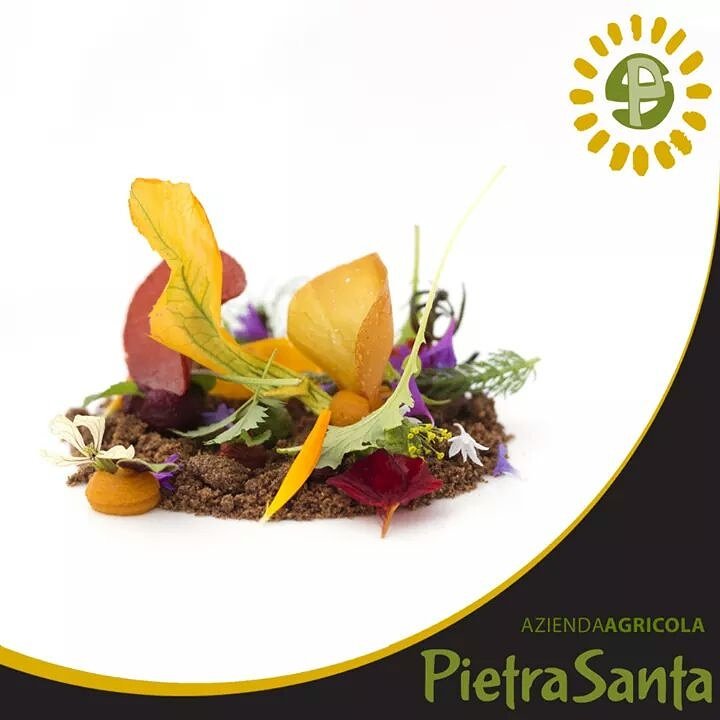 AzPietrasanta's tweet image. "L'orto di casa mia" Chef Bellingeri dell' Osteria Acquarol.
Il tocco in più? La passata di pomodoro Fiaschetto dell'Az. Agr. Pietrasanta