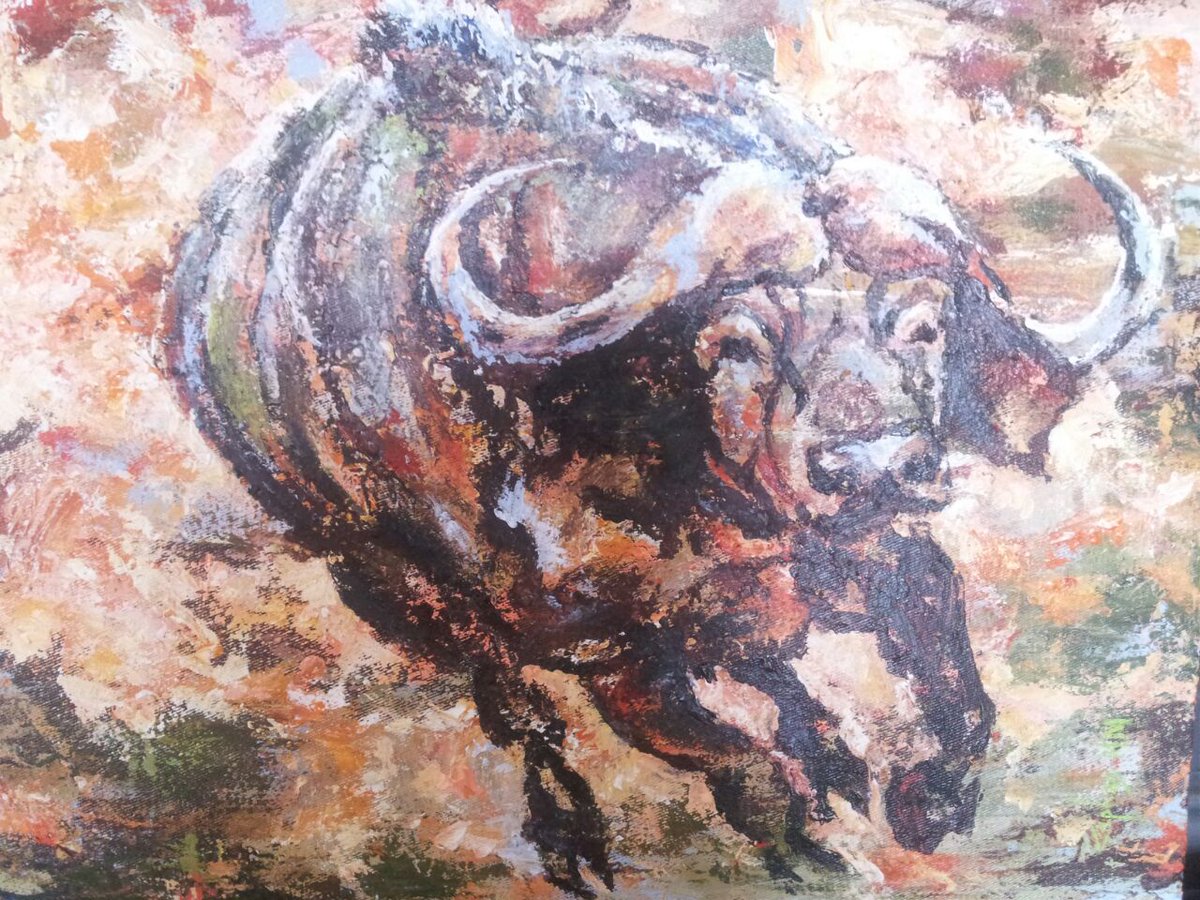 NABWgallery's tweet photo. Some of the paintings on display at our Feb NABW art show. DM for details &amp; price quotes https://t.co/Zv2WXua3aO