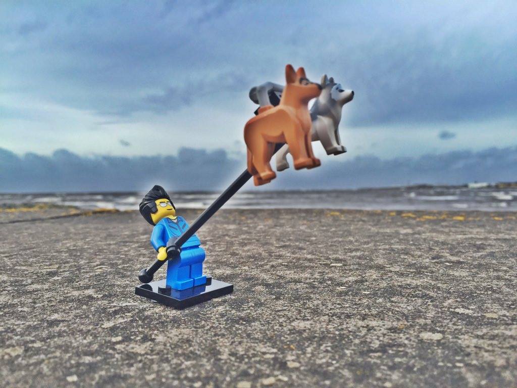 TheCoastguardTeam tweet media