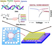 MaterHoriz's tweet image. New COMM: High performance #memorydevices from #DNA and DNA mimics @postech2020 Give it a read! rsc.li/2lcmH3k
