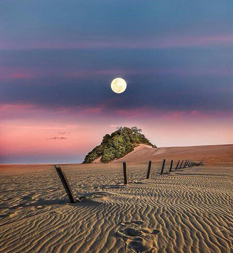 I wish you a happy times💋🙋💏
A lot of money out of love💕💞💖
✊