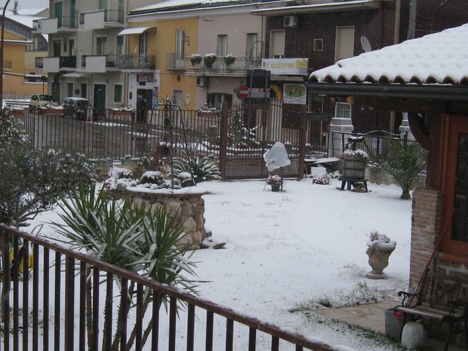 mia cosa con giardino https://t.co/n9O17Y8Dke