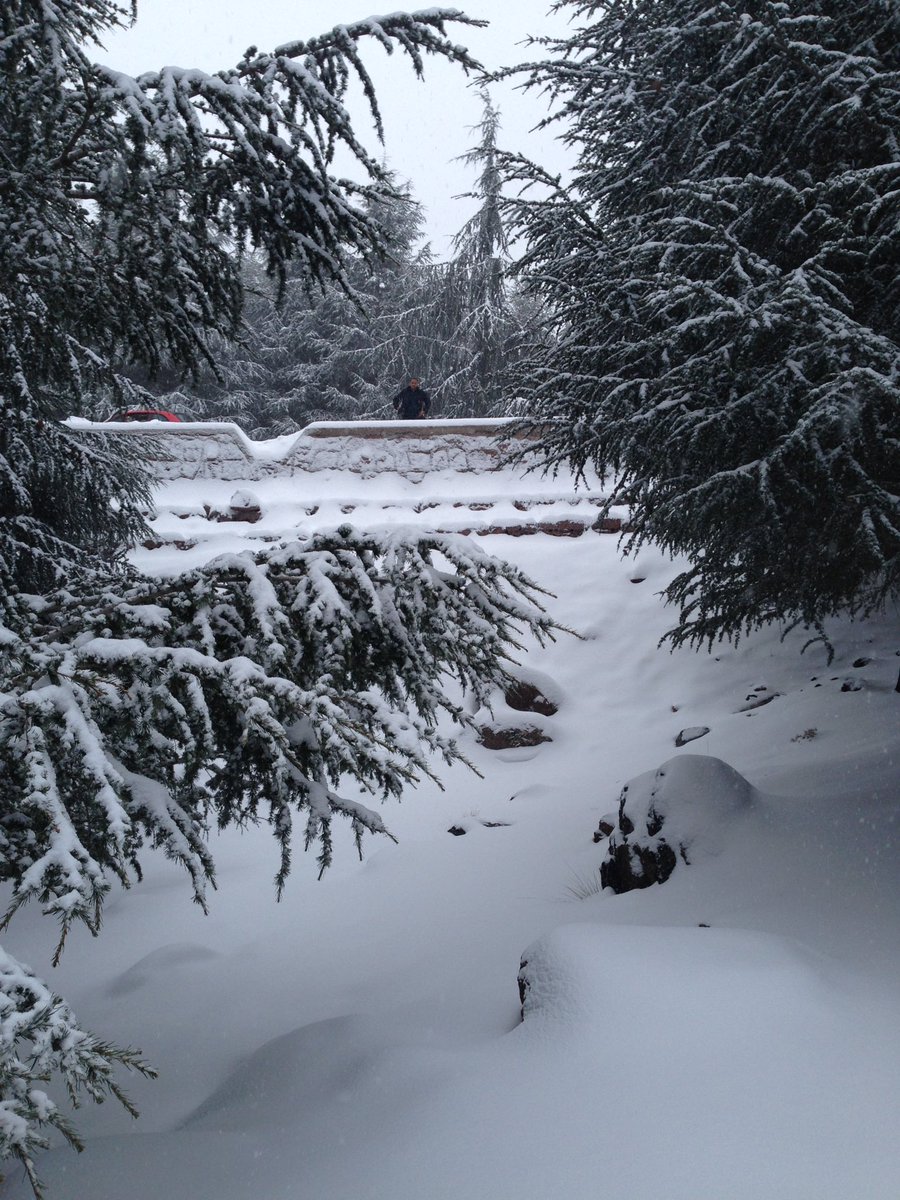 JusticeGate's tweet photo. Snow !!! https://t.co/PdyPzklUHX