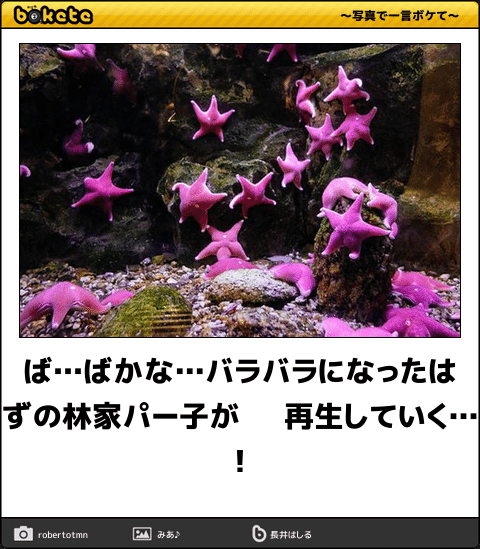 フハハ 頭部の核を破壊されない限り何度でも再生できるのさ 今日の ボケて 3月6日 Togetter フハハ 頭部の核を破壊されない限り何度でも再生できるのさ 今日の ボケて 3月6日 Togetter
