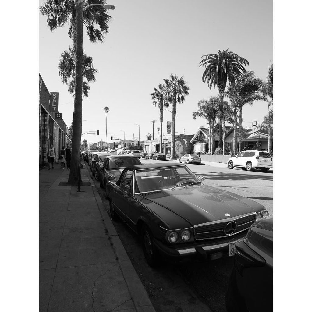 Fox and Favour tweet media